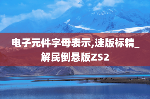 电子元件字母表示,速版标精_解民倒悬版ZS2