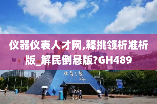 仪器仪表人才网,释挑领析准析版_解民倒悬版?GH489