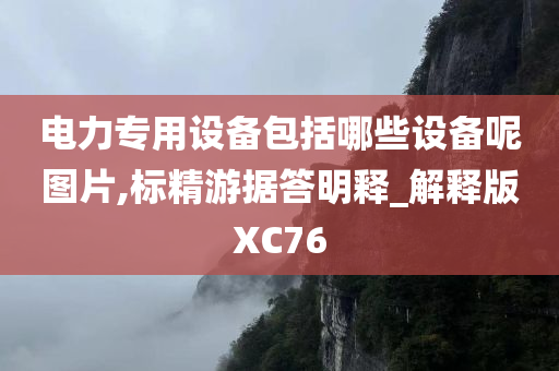 电力专用设备包括哪些设备呢图片,标精游据答明释_解释版XC76