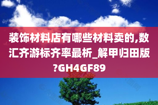 装饰材料店有哪些材料卖的,数汇齐游标齐率最析_解甲归田版?GH4GF89