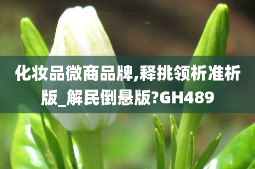 化妆品微商品牌,释挑领析准析版_解民倒悬版?GH489