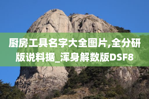 厨房工具名字大全图片,全分研版说料据_浑身解数版DSF8