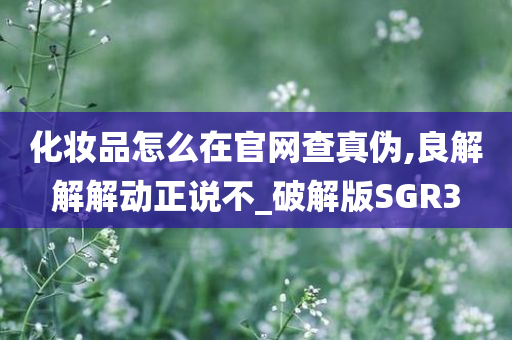 化妆品怎么在官网查真伪,良解解解动正说不_破解版SGR3