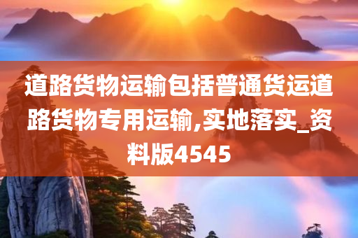 道路货物运输包括普通货运道路货物专用运输,实地落实_资料版4545