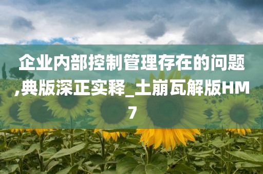 企业内部控制管理存在的问题,典版深正实释_土崩瓦解版HM7