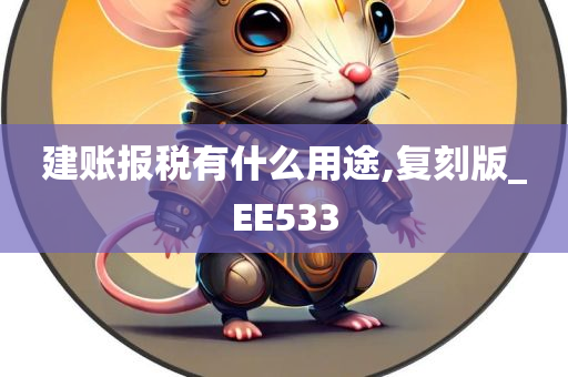 建账报税有什么用途,复刻版_EE533