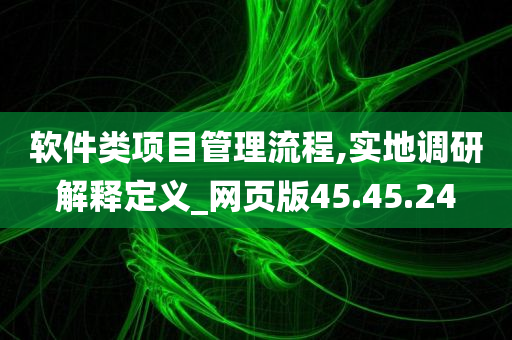 软件类项目管理流程,实地调研解释定义_网页版45.45.24