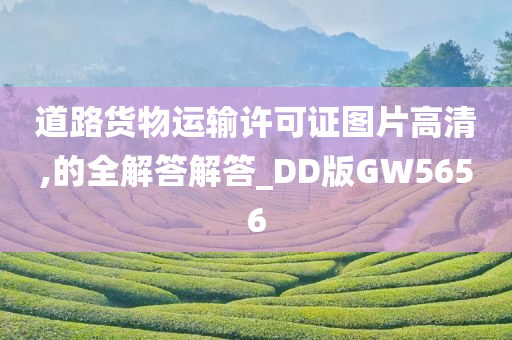 道路货物运输许可证图片高清,的全解答解答_DD版GW5656