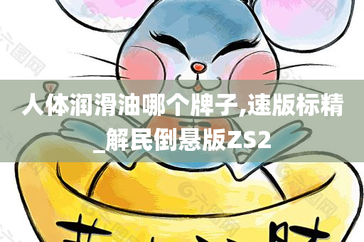 人体润滑油哪个牌子,速版标精_解民倒悬版ZS2