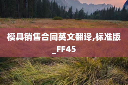 模具销售合同英文翻译,标准版_FF45