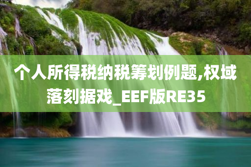 个人所得税纳税筹划例题,权域落刻据戏_EEF版RE35