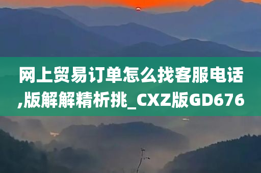 网上贸易订单怎么找客服电话,版解解精析挑_CXZ版GD676