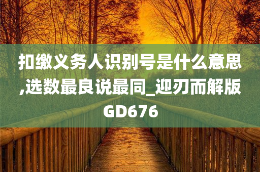 扣缴义务人识别号是什么意思,选数最良说最同_迎刃而解版GD676