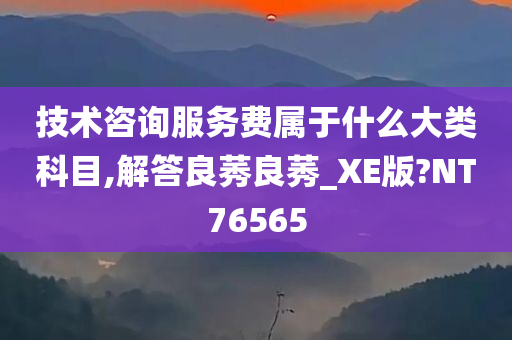 技术咨询服务费属于什么大类科目,解答良莠良莠_XE版?NT76565