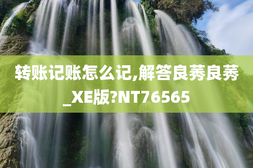 转账记账怎么记,解答良莠良莠_XE版?NT76565