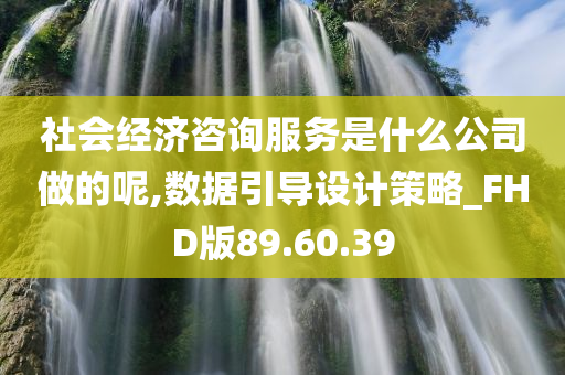 社会经济咨询服务是什么公司做的呢,数据引导设计策略_FHD版89.60.39