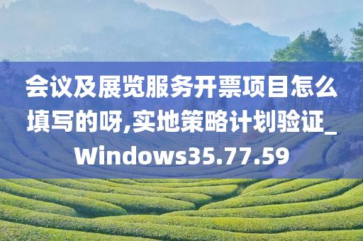 会议及展览服务开票项目怎么填写的呀,实地策略计划验证_Windows35.77.59