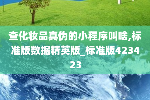 查化妆品真伪的小程序叫啥,标准版数据精英版_标准版423423