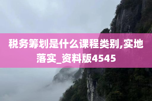 税务筹划是什么课程类别,实地落实_资料版4545