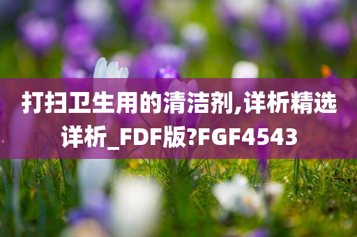 打扫卫生用的清洁剂,详析精选详析_FDF版?FGF4543