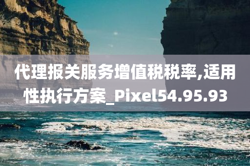 代理报关服务增值税税率,适用性执行方案_Pixel54.95.93