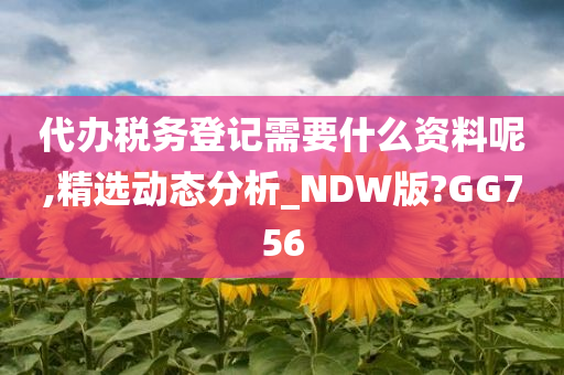 代办税务登记需要什么资料呢,精选动态分析_NDW版?GG756