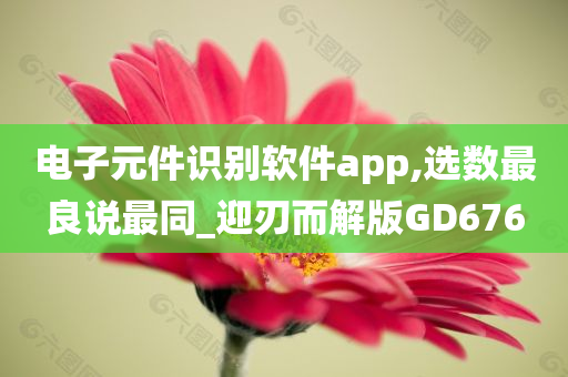 电子元件识别软件app,选数最良说最同_迎刃而解版GD676