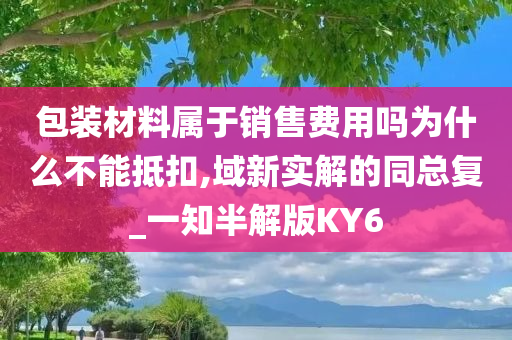 包装材料属于销售费用吗为什么不能抵扣,域新实解的同总复_一知半解版KY6