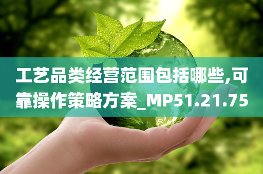 工艺品类经营范围包括哪些,可靠操作策略方案_MP51.21.75