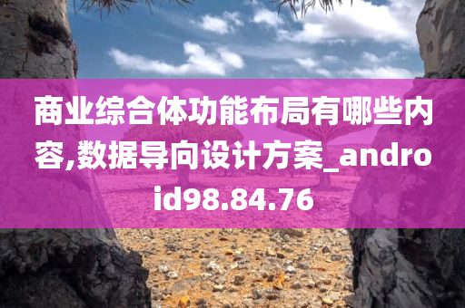 商业综合体功能布局有哪些内容,数据导向设计方案_android98.84.76