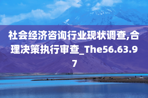 社会经济咨询行业现状调查,合理决策执行审查_The56.63.97