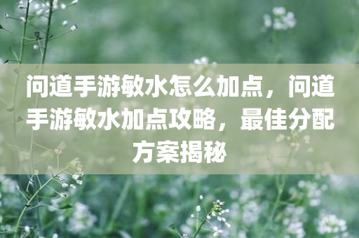 问道手游敏水怎么加点，问道手游敏水加点攻略，最佳分配方案揭秘