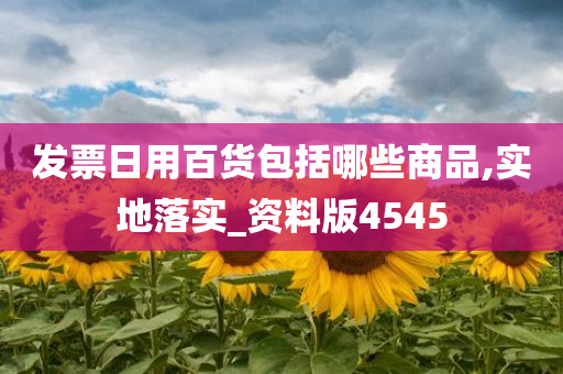 发票日用百货包括哪些商品,实地落实_资料版4545