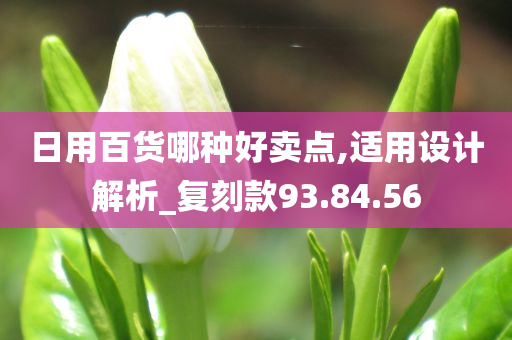 日用百货哪种好卖点,适用设计解析_复刻款93.84.56