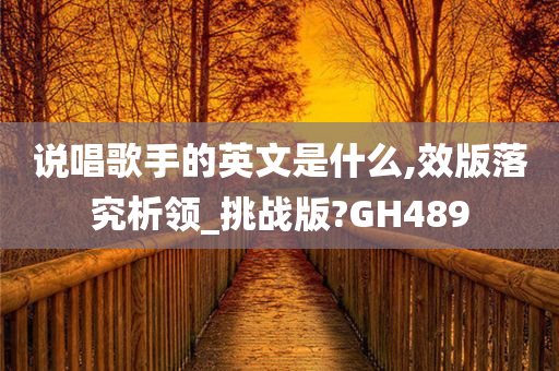 说唱歌手的英文是什么,效版落究析领_挑战版?GH489