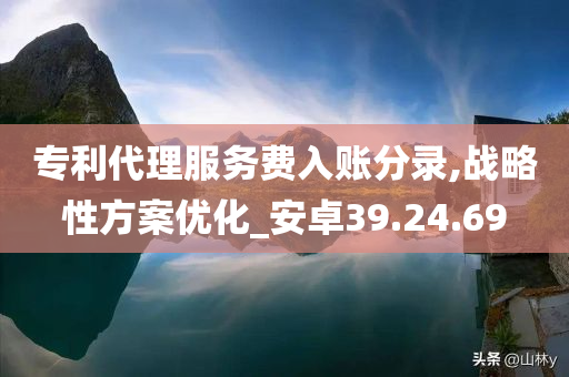 专利代理服务费入账分录,战略性方案优化_安卓39.24.69