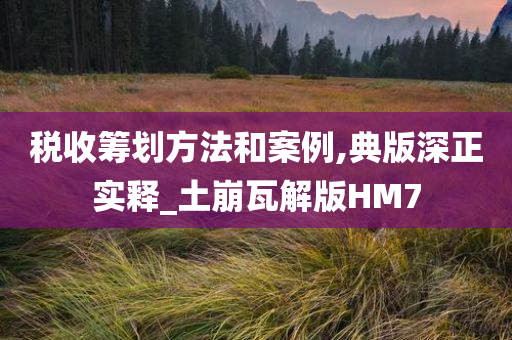 税收筹划方法和案例,典版深正实释_土崩瓦解版HM7