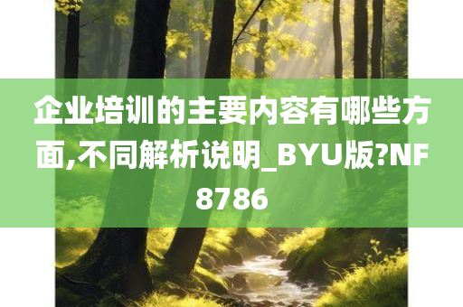 企业培训的主要内容有哪些方面,不同解析说明_BYU版?NF8786