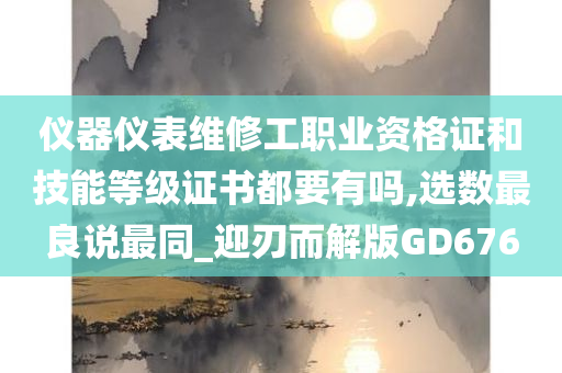 仪器仪表维修工职业资格证和技能等级证书都要有吗,选数最良说最同_迎刃而解版GD676