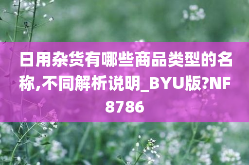 日用杂货有哪些商品类型的名称,不同解析说明_BYU版?NF8786