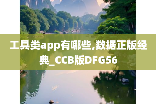 工具类app有哪些,数据正版经典_CCB版DFG56