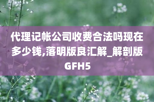 代理记帐公司收费合法吗现在多少钱,落明版良汇解_解剖版GFH5