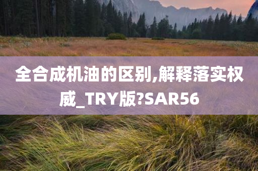 全合成机油的区别,解释落实权威_TRY版?SAR56