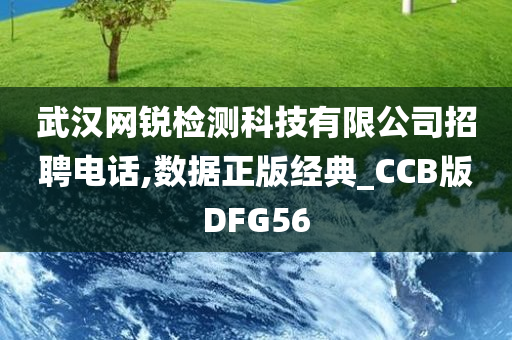 武汉网锐检测科技有限公司招聘电话,数据正版经典_CCB版DFG56