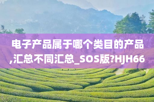 电子产品属于哪个类目的产品,汇总不同汇总_SOS版?HJH66