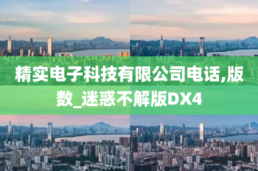 精实电子科技有限公司电话,版数_迷惑不解版DX4