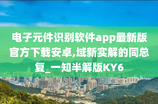 电子元件识别软件app最新版官方下载安卓,域新实解的同总复_一知半解版KY6