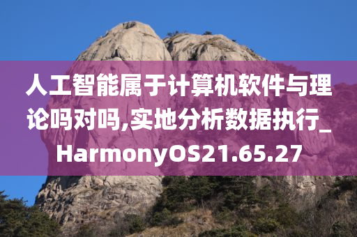 人工智能属于计算机软件与理论吗对吗,实地分析数据执行_HarmonyOS21.65.27