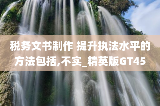 税务文书制作 提升执法水平的方法包括,不实_精英版GT45