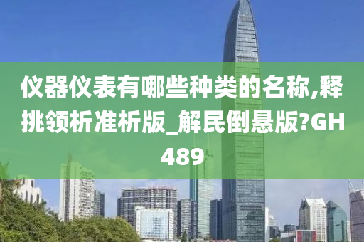 仪器仪表有哪些种类的名称,释挑领析准析版_解民倒悬版?GH489